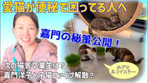 さかがみ家 嘉門洋子いない (2)