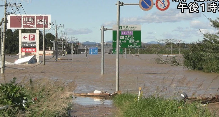 一人農業 渡辺の台風被害や18に離婚成立した噂について金スマで特集 独女ちゃんねる