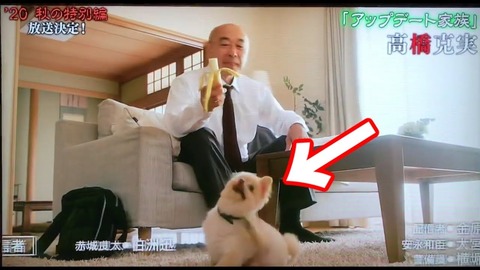 世にも奇妙な物語22秋に「純」 (2)