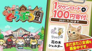 花の木シェルター５ch悪評で炎上か猫の保護活動が臭いとの評判 独女ちゃんねる