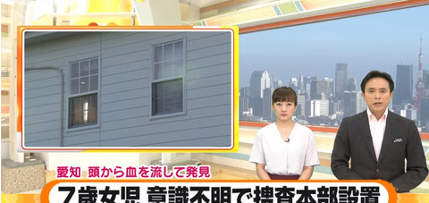 愛知県美浜町 7歳 事件 (1)