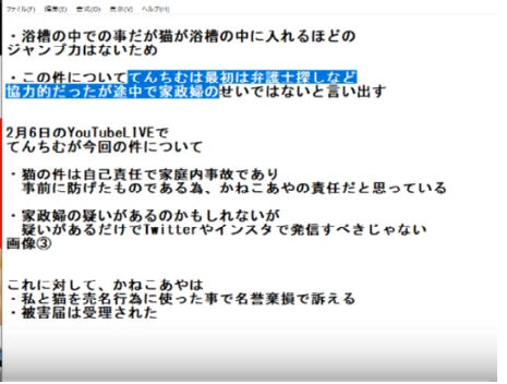 てんちむ フルード画像 (3)