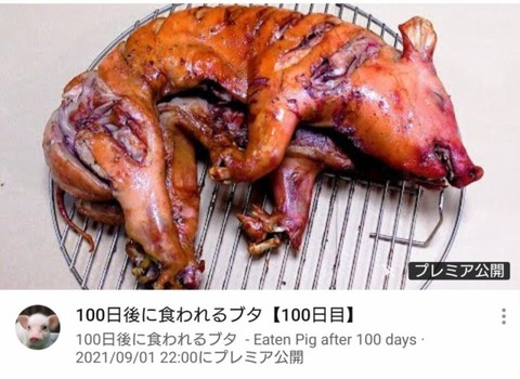 100日後に食われる豚丸焼き (1)