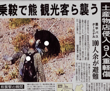 乗鞍岳クマ襲撃事件 動画と女性の外傷例 (2)