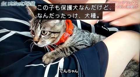 タイピー日記 (5)