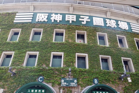 仙台育英 誤審動画
