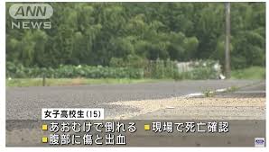 佐賀市鍋島町森田で女子高生の路上死亡事件 (1)