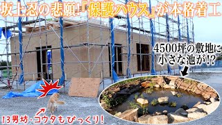 バイキング打ち切り理由 (3)