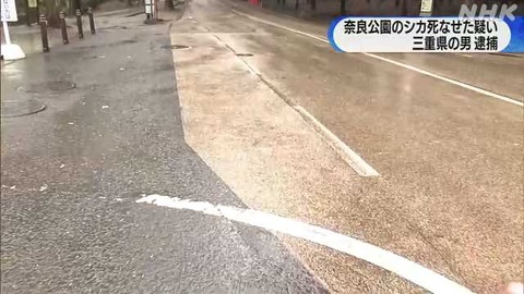 奈良のシカ死なせた