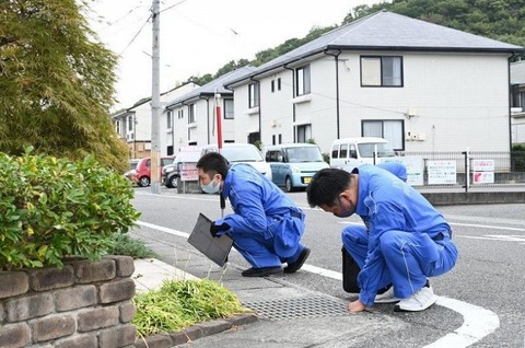 岡山市トカゲ放し飼いで脱走した飼い主