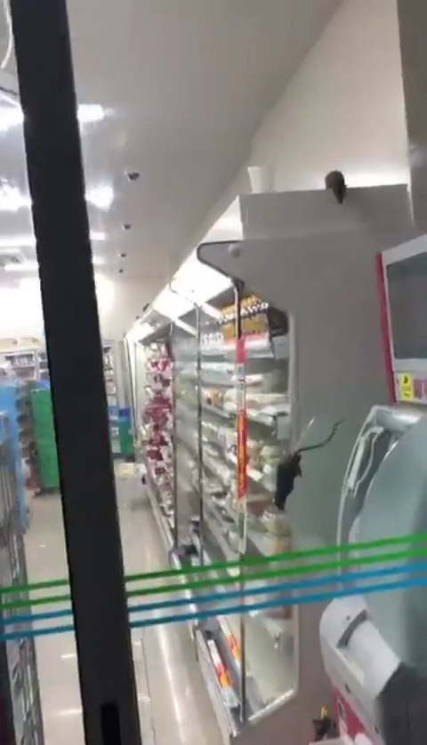 ファミマ「ネズミ動画」 (1)