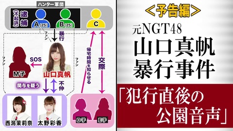 山口真帆 暴漢 どこまで (4)