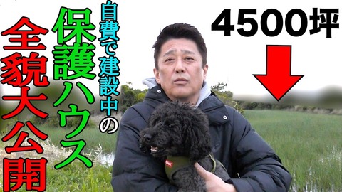 バイキング打ち切り理由 (2)