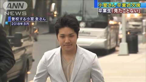 小室圭が逮捕された理由 (2)