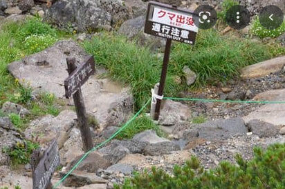 乗鞍岳クマ襲撃事件 動画と女性の外傷例 (4)