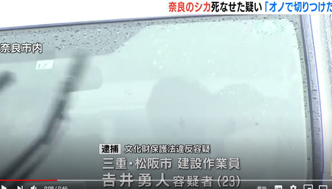 奈良のシカ死なせた (1)