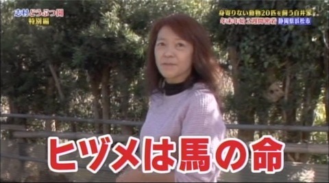 志村どうぶつ園白井家 (3)
