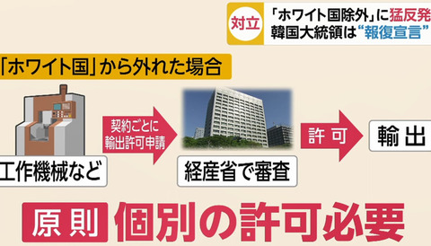 韓国「ホワイト国除外による海外の反応」 (4)