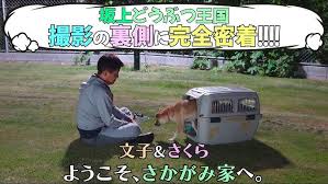 さかがみ家さくら戻ってきた理由 (2)
