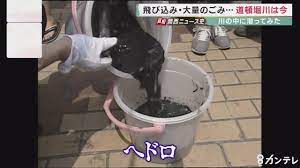 道頓堀川の飛び込み死亡なぜ (2)