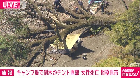 相模原キャンプ場 倒木事故どこ (3)