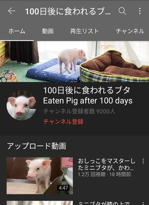100日後に食われる豚丸焼き (2)