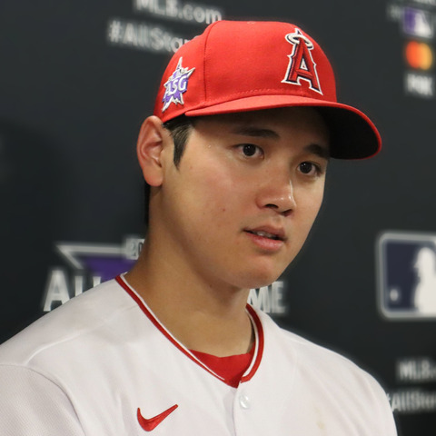  田中みな実 大谷翔平 結婚 (1)