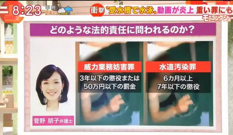 受水槽 泳ぐ 動画 (2)