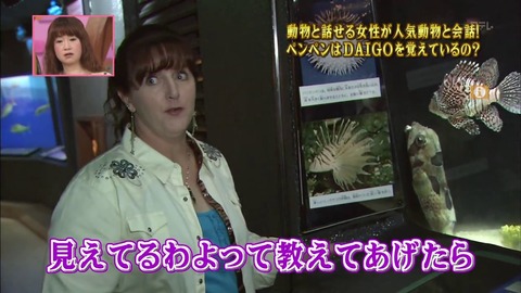 動物と話せるハイジ2