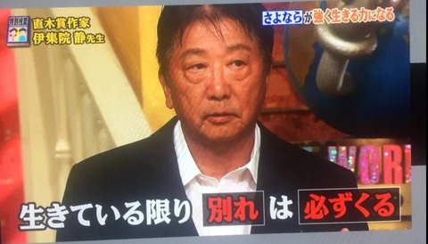 夏目雅子 最後の写真 (5)