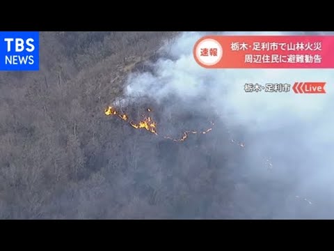 足利山火事原因たき火 (2)