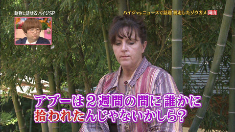 動物と話せるハイジ5