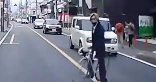 柏市ひょっこり男 自転車 (2)