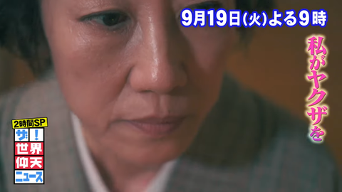 仰天ニュース暴力団どこか堀江ひとみ娘 (1)