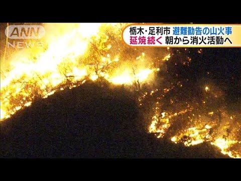 足利 山 火事 場所