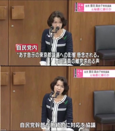 豊田真由子3