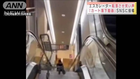 イオンカート落下犯人特定 (1)