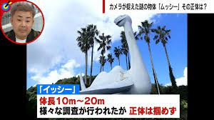 加古川ムッシーの正体の動画 (4)