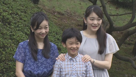 悠仁様 障害 まとめ (4)