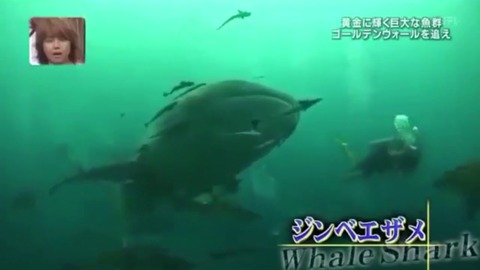 林あかり3