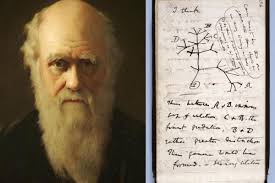 ダーウィン 海外情報