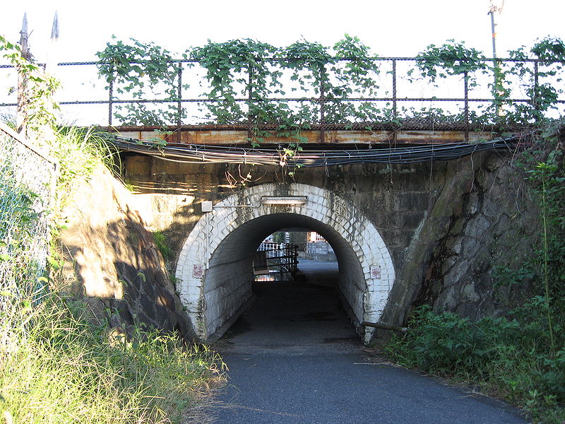 山口 車の走行中 サンルーフから頭を出していた６歳児 高架下に頭をぶつけて死亡 Zqpk787iのblog