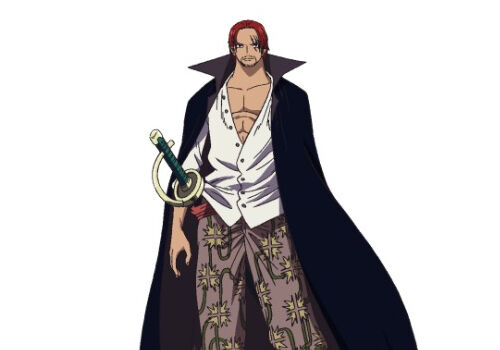 悲報 ワンピースのシャンクスさん 後付け設定だらけでもう収集がつかないｗｗｗ 厳選オタク速報