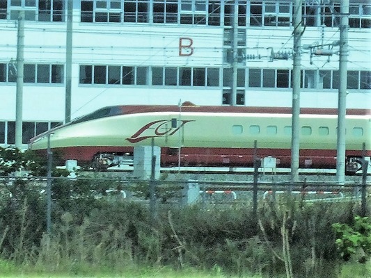 201905九州 (288)