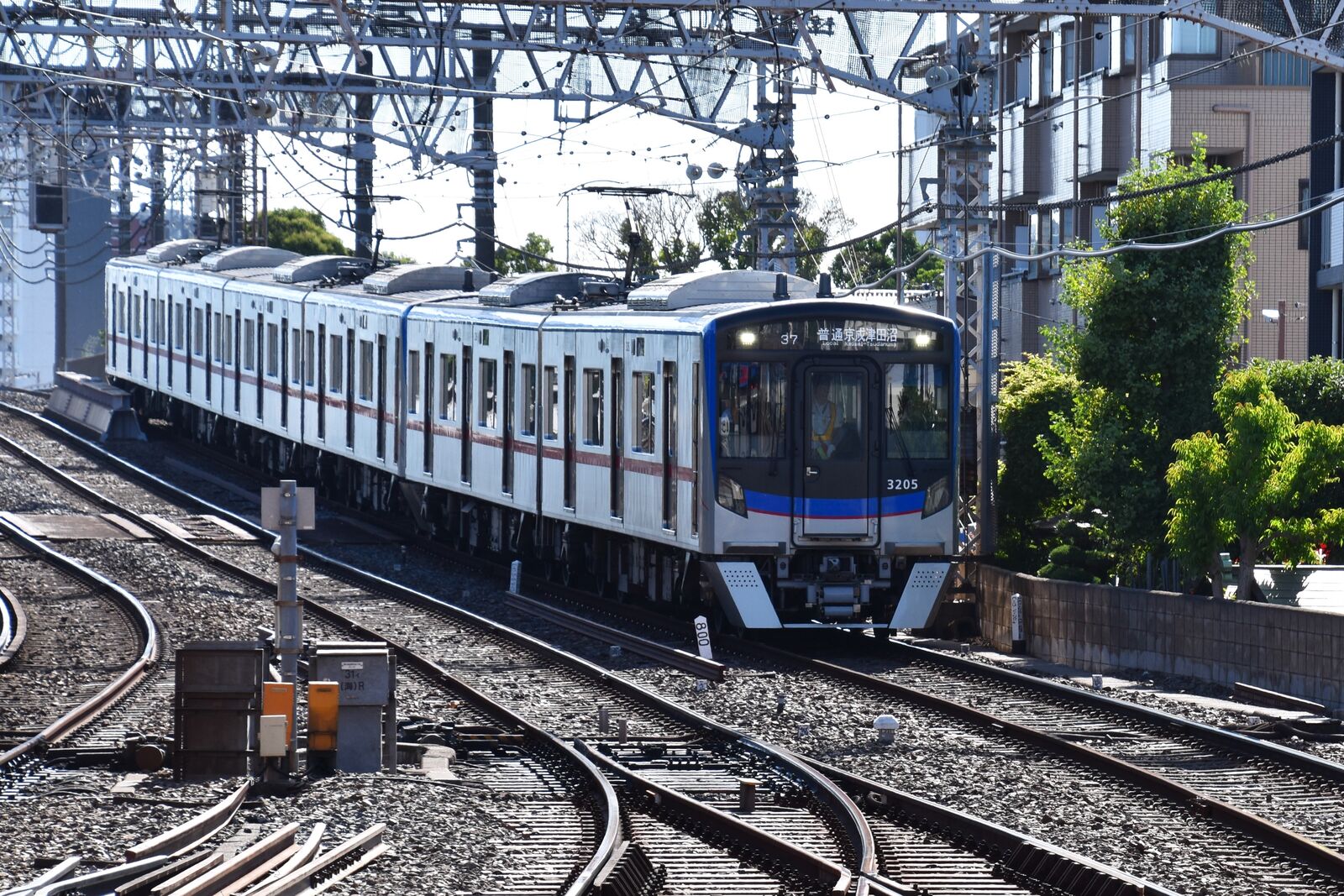 乗り物   風景 Ride on mini Locomotive | Okinawa Zoo & Museum - YouTube