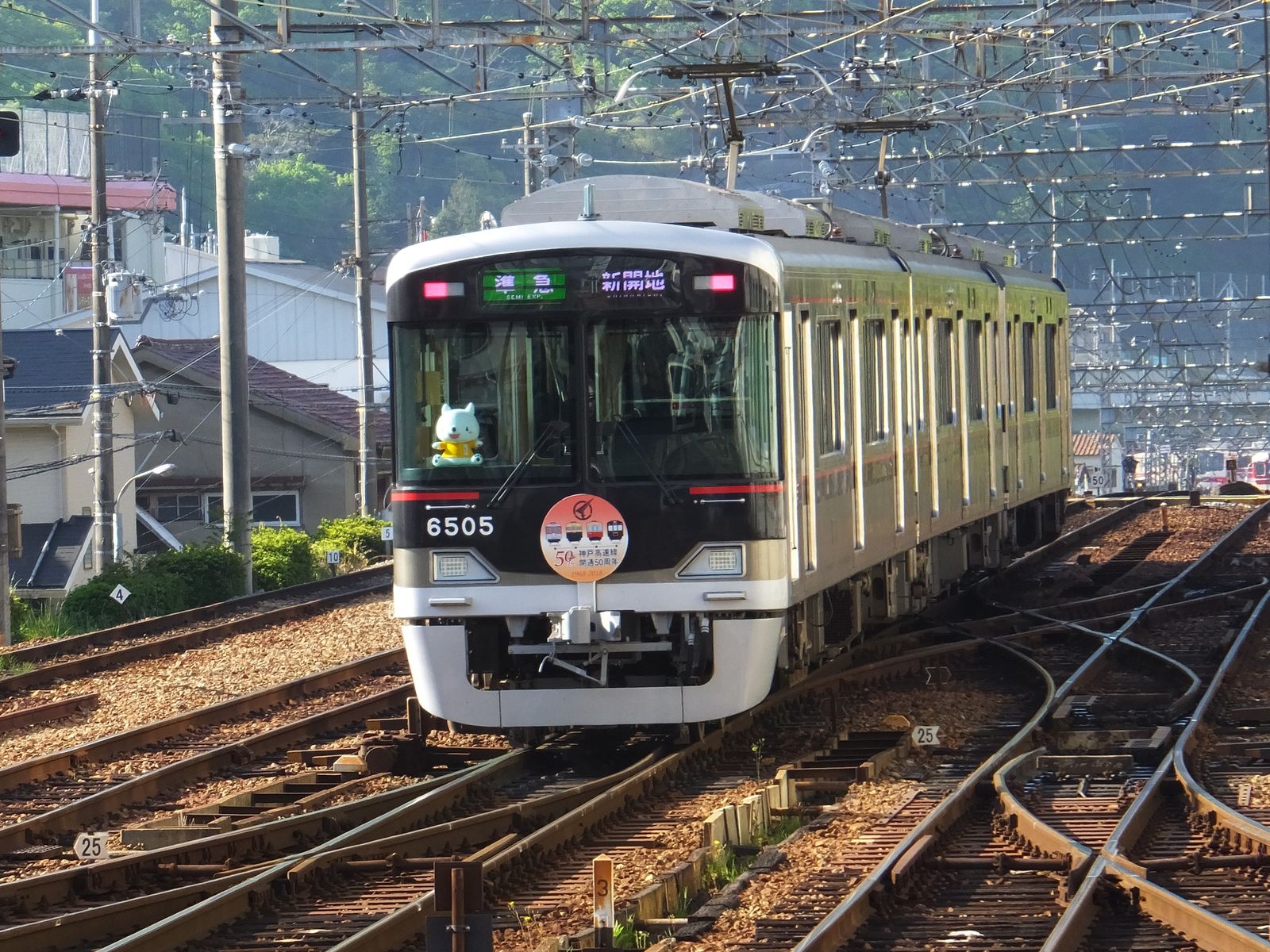 ミスター乗り鉄 鉄進の旅路
