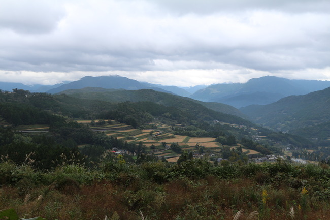 IMG_4990 (1)