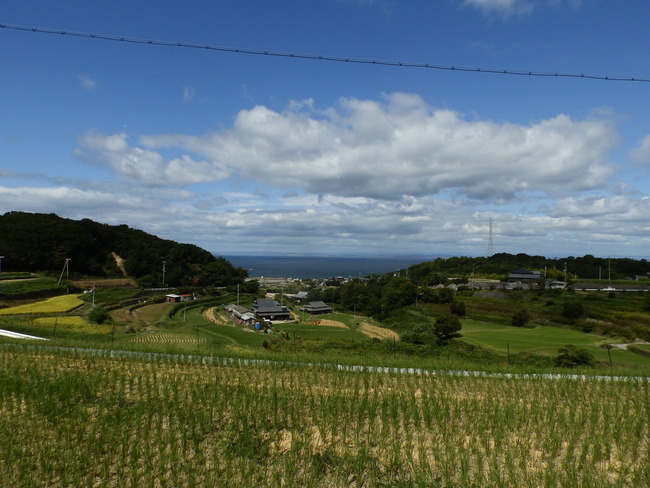 PA060173
