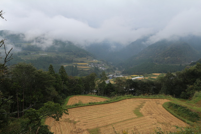 IMG_4910 (1)