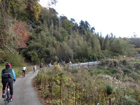 棚田への細道